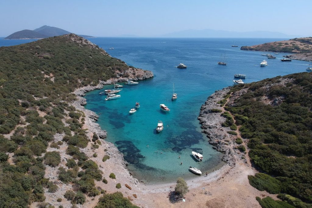 Akvaryum Koyu