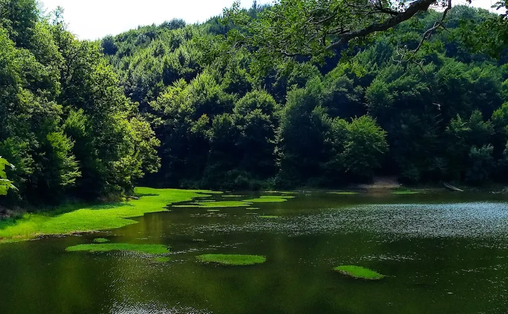 Belgrad Ormanı Valide Sultan Bendi Vadisi