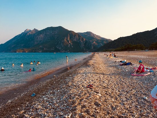 Çıralı Sahili caretta caretta Antalya kamp alanları