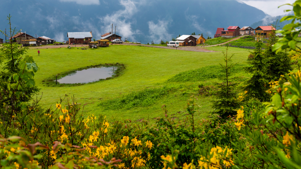 Karadeniz Yaylaları ve Kamp Alanları