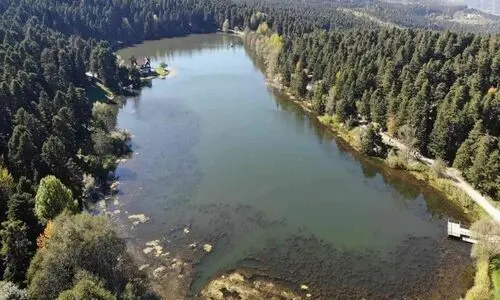 Göksu Parkı nehir kenarı kamp Bolu kamp alanları