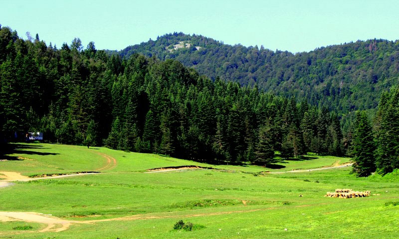 İnönü Yaylası