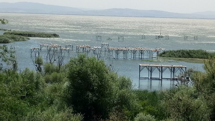 Manyas Kuş Cenneti Milli Parkı