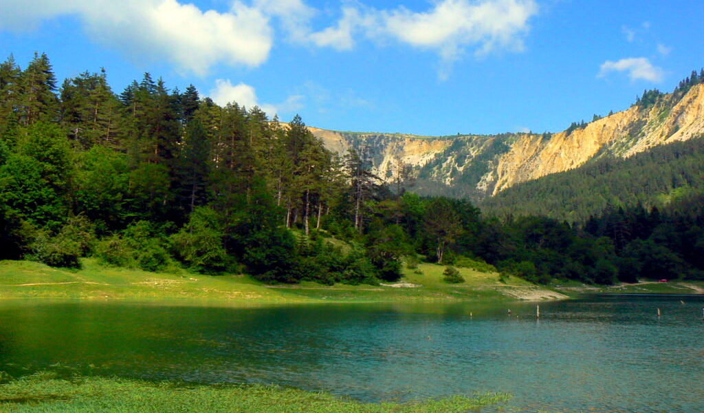 Sülüklü Yaylası bakir doğa Trabzon gezilecek yerler