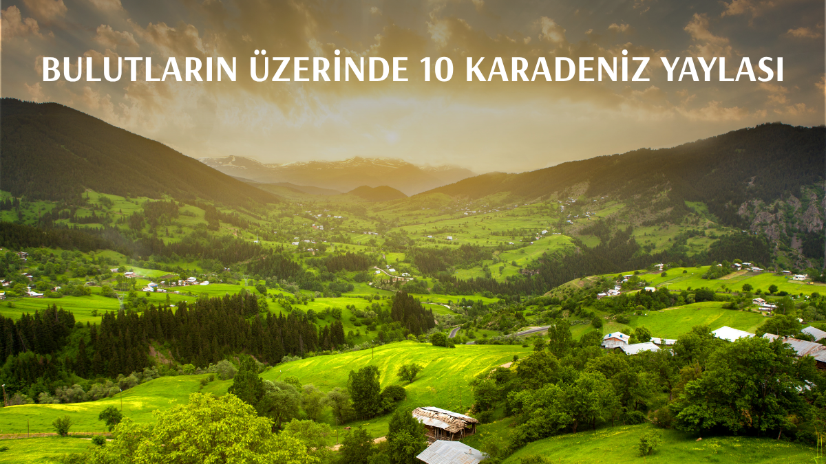 Doğaya Kaçış: En Güzel 10 Karadeniz Yaylaları ve Kamp Alanları Rehberi