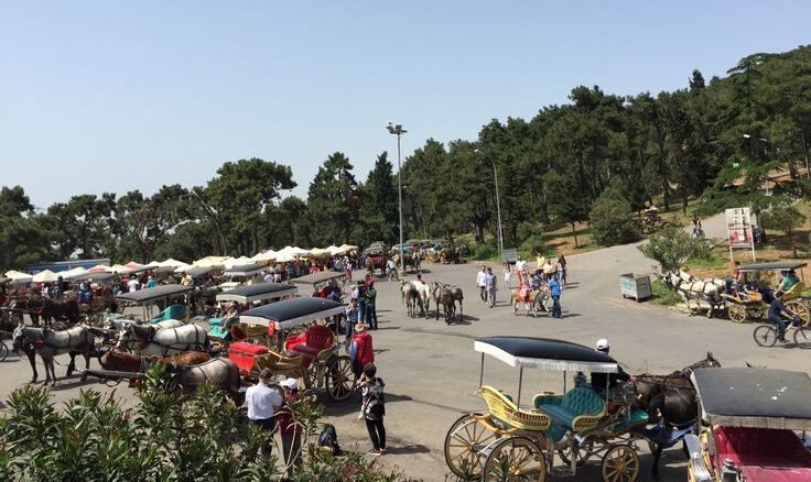 Çınar Meydanı Lunapark Büyükada gezilecek yerler nostalji
