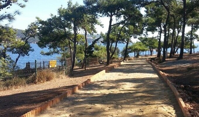 Dil Burnu Tabiat Parkı Büyükada gezilecek yerler deniz