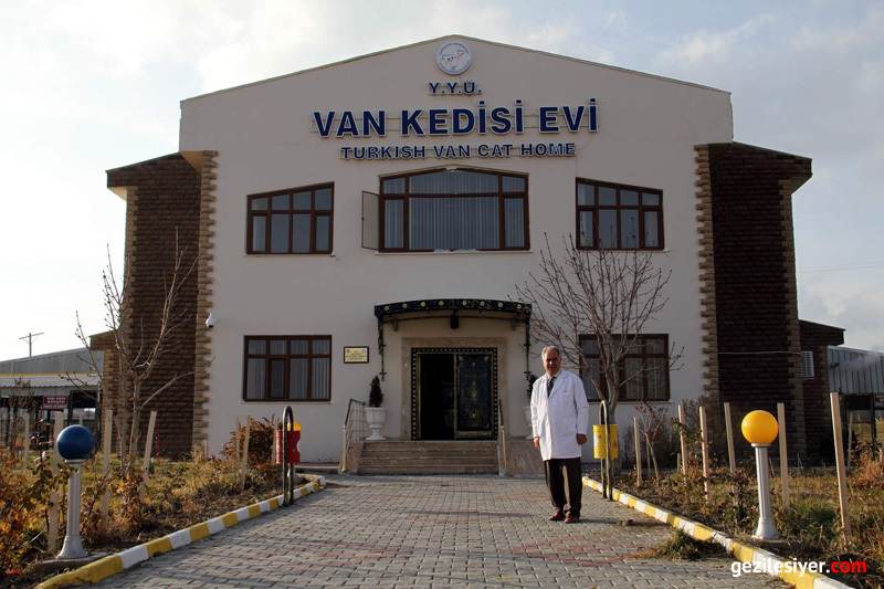 Van Kedisi Evi Van gezilecek yerler kültür